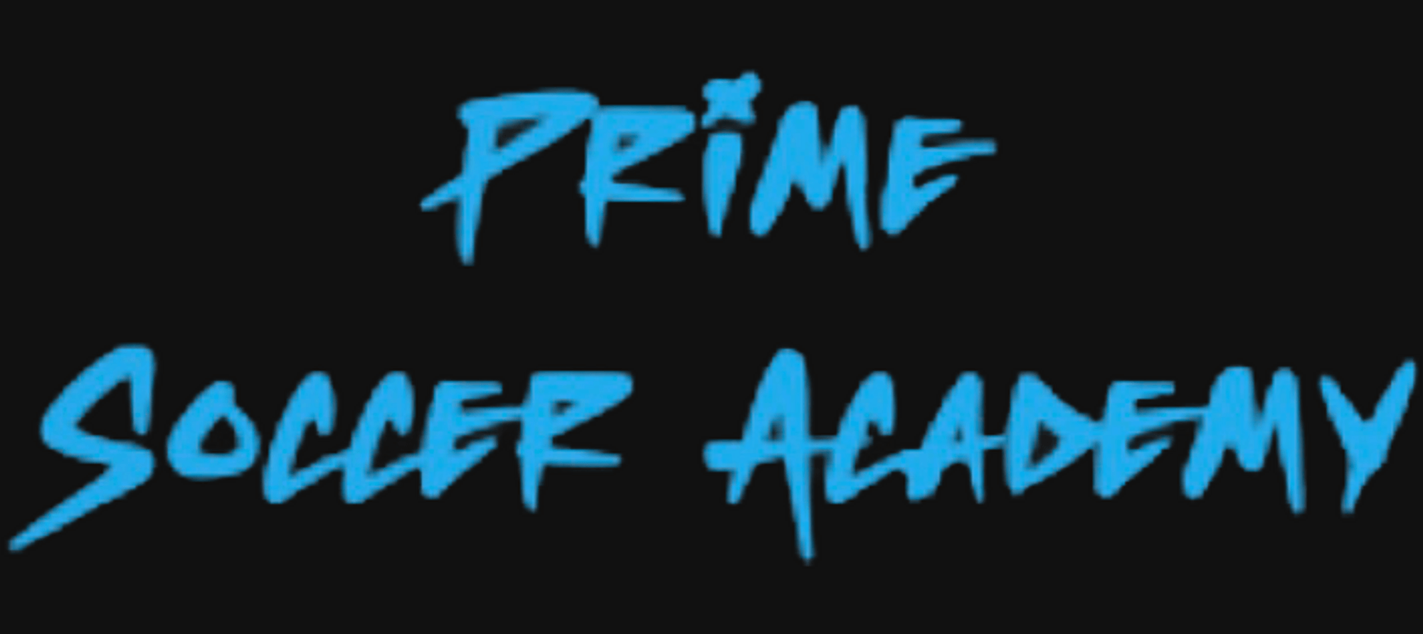 Prime Soccer Academy USA | undefined Logo